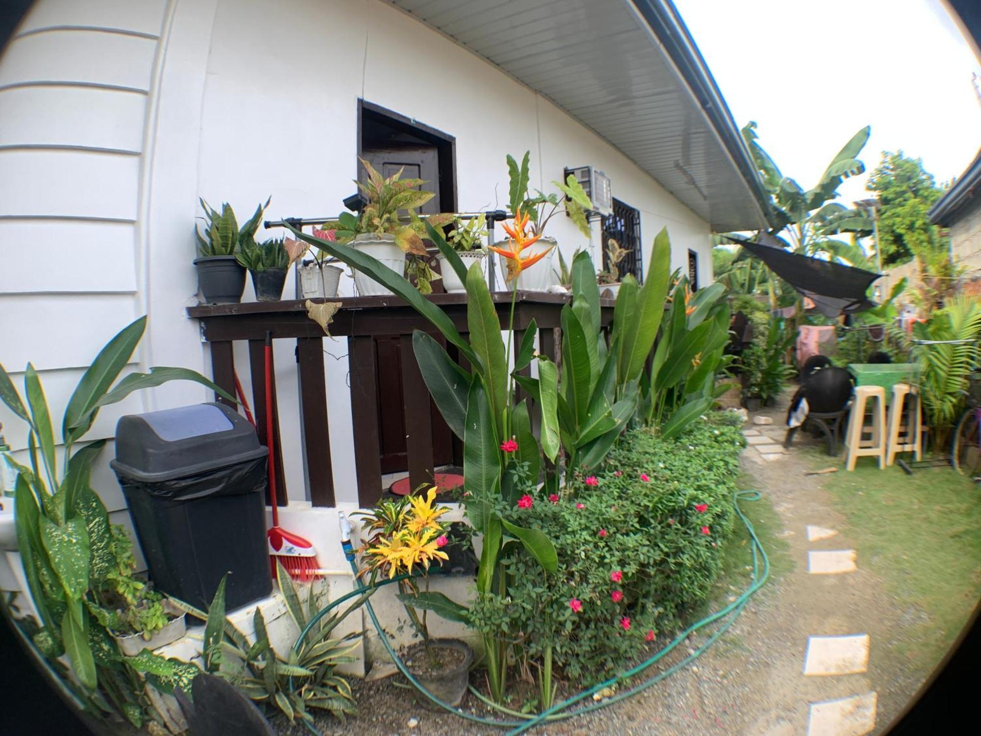 Jml Homestay General Luna  Εξωτερικό φωτογραφία