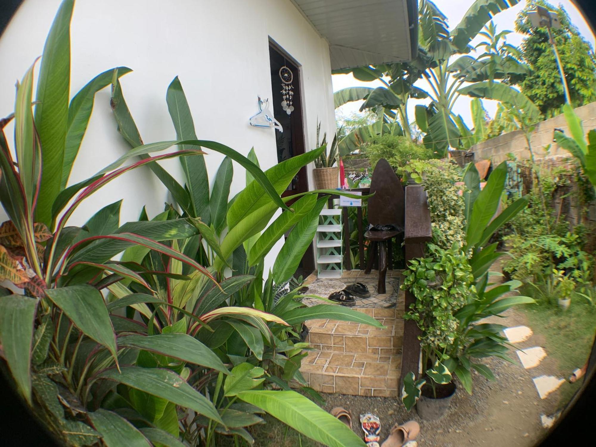 Jml Homestay General Luna  Εξωτερικό φωτογραφία